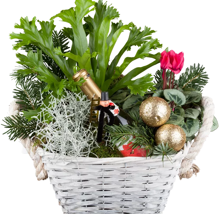 Silberkörbchen Silberkörbchen