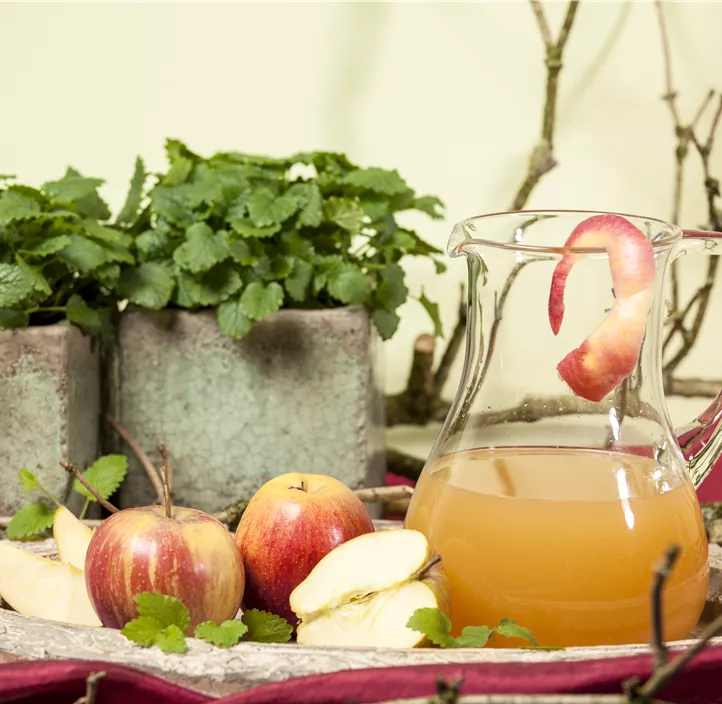 Herbstapfel 'Rubinette'® Herbstapfel 'Rubinette'®