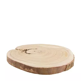Holzscheibe