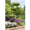 bellaflora Gartencenter GmbH bellaflora Gartencenter GmbH