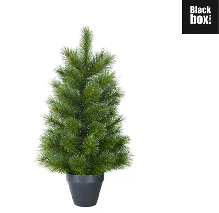 Weihnachtsbaum Glendon, 88 Zweige