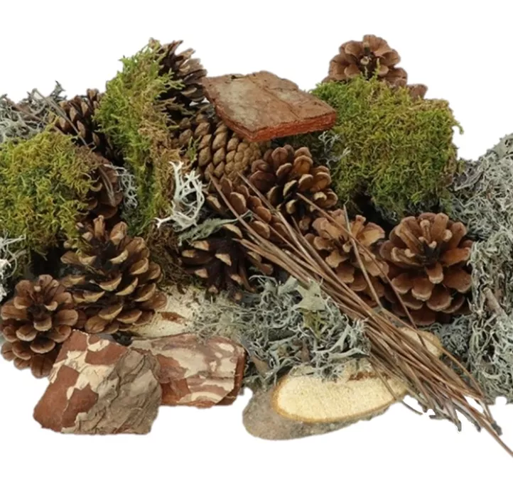 Bastelmix Zapfen-Holz-Moos