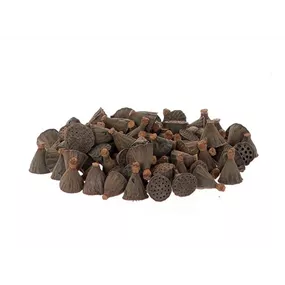 Lotus mini Packung Lotus mini Packung