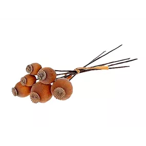 Mohn 6stk/Bd Mohn 6stk/Bd