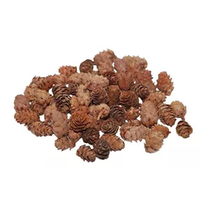 Tannenzapfen klein Tannenzapfen klein