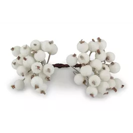 Beeren am Draht Bund