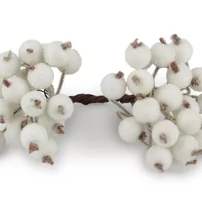 Beeren am Draht Bund Beeren am Draht Bund