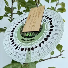 Malus domestica (Keltischer Baumkreis)