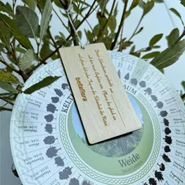 Salix caprea (Keltischer Baumkreis)