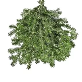 Nordmanntannenreisig Handbund Nordmanntannenreisig Handbund