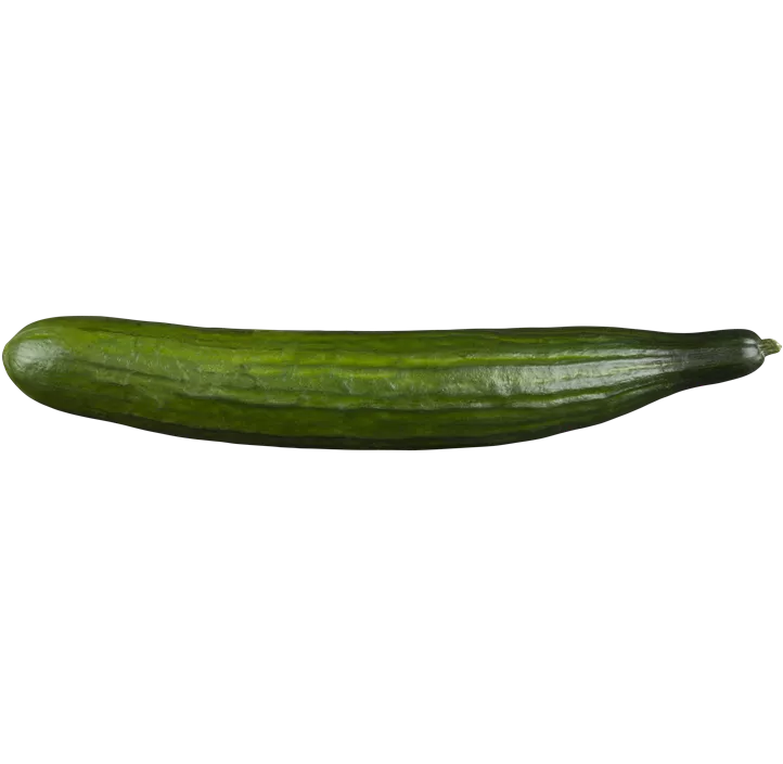 Gurke