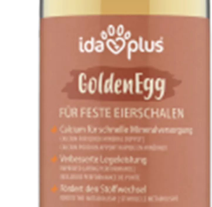 IdaPlus GoldenEgg