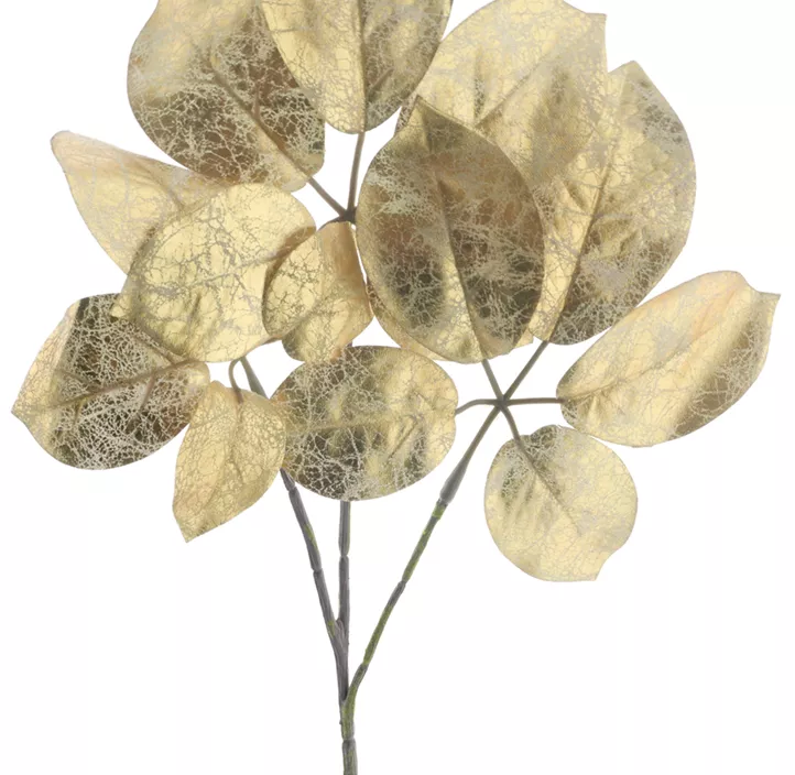 Prunus Blattzweig