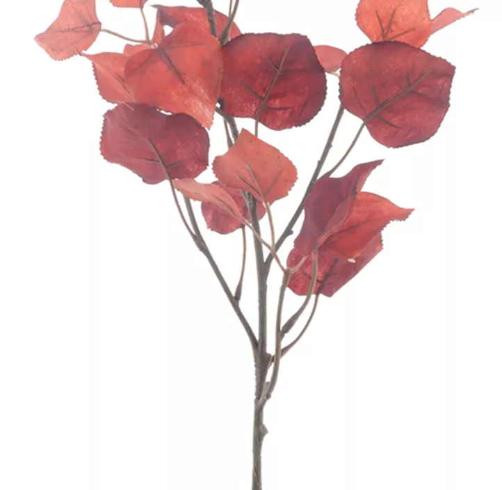 Salal Blattzweig