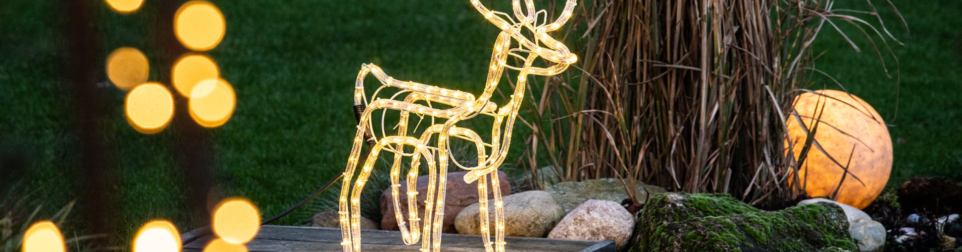 Lichter im Garten - Elch aus Lichtschlauch