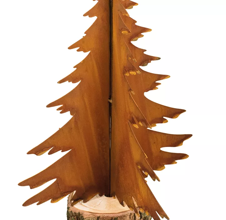 Tanne auf Baumstamm