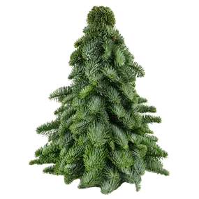 WeihnachtsBäumchen gebunden WeihnachtsBäumchen gebunden