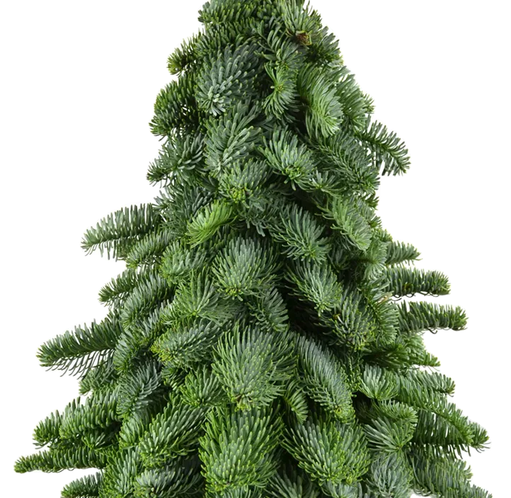 WeihnachtsBäumchen gebunden