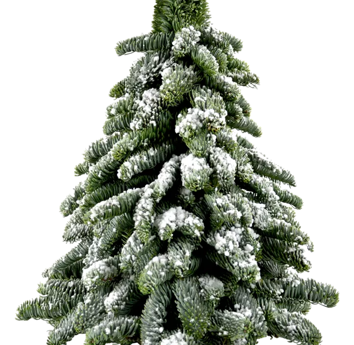 Weihnachtsbäumchen gebunden mit Schnee