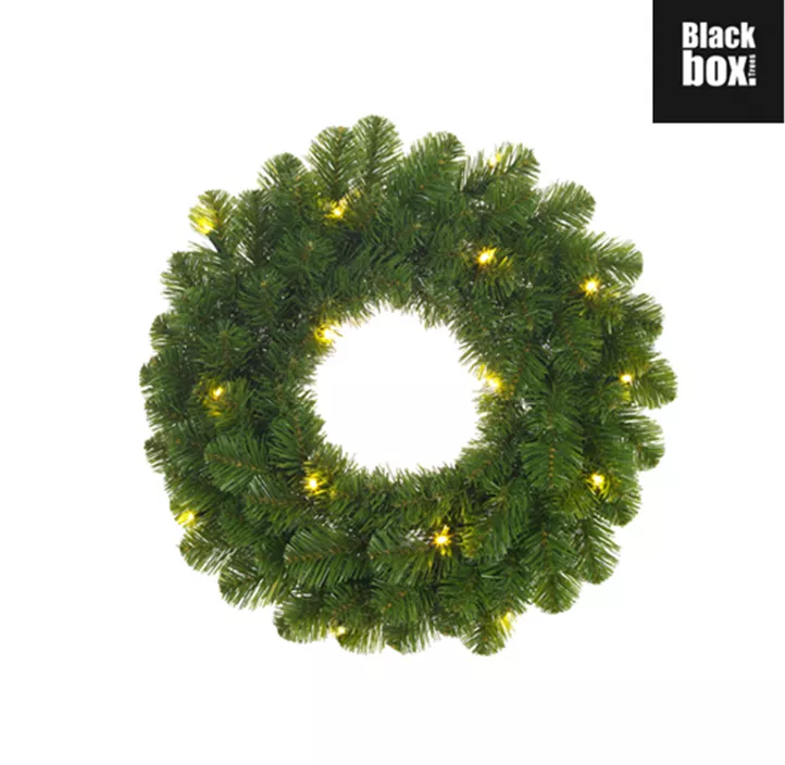 Kranz Norton, 20 LEDs