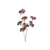 bellaflora Gartencenter GmbH