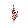 bellaflora Gartencenter GmbH