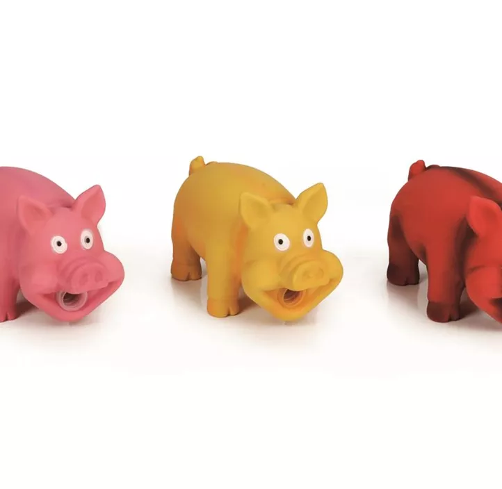 Latex Schweine