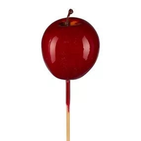 Apfel mit Stecker 6er Box Apfel mit Stecker 6er Box