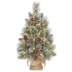 Weihnachtsbaum Vandans, 20 LEDs
