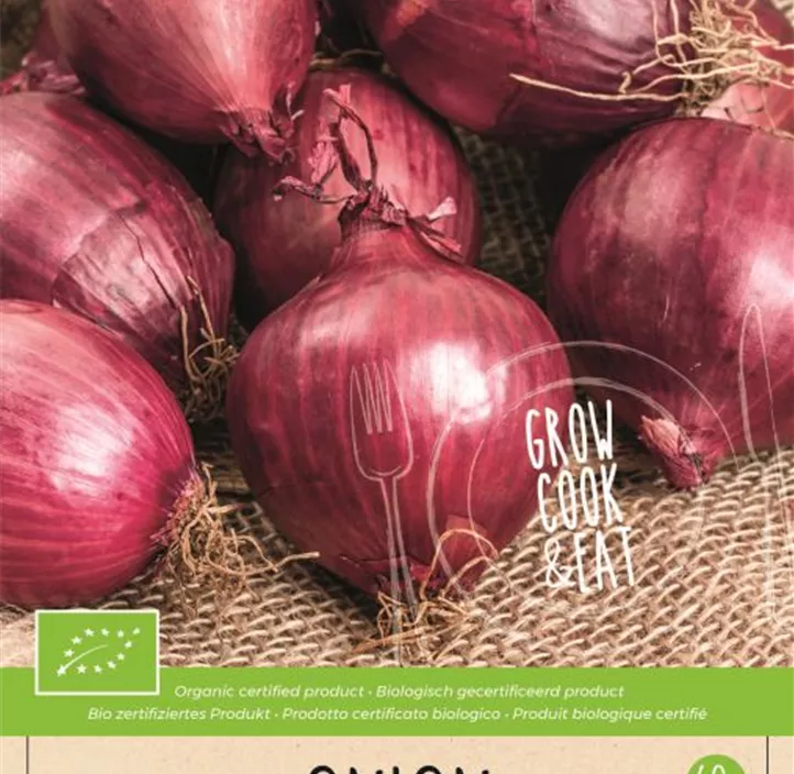 Steckzwiebel 'Red Baron' Steckzwiebel 'Red Baron'