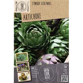 Cynara scolymus