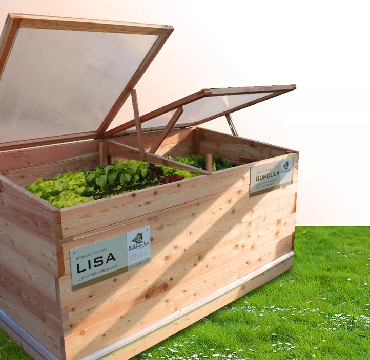 Frühbeetaufsatz Gundula Lärche