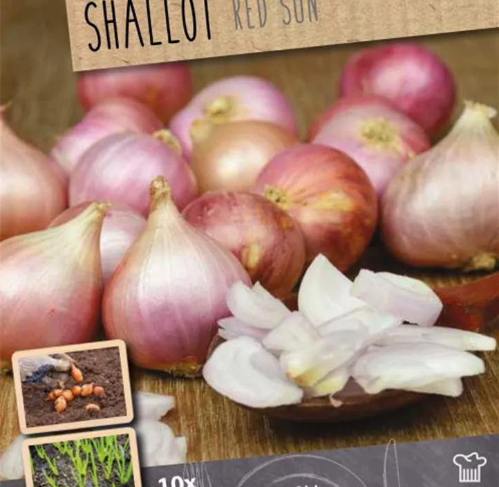 Steckzwiebel-Mix (Eat, Grow, Cook) Steckzwiebel-Mix (Eat, Grow, Cook)