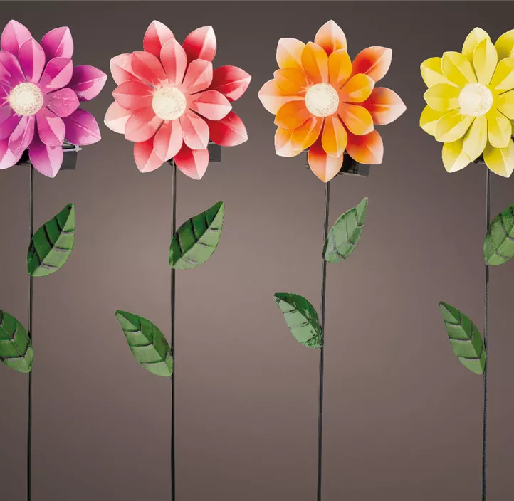 Solar Blumen, 4 Farben