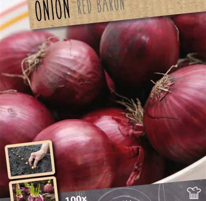 Steckzwiebel 'Red Baron' Steckzwiebel 'Red Baron'
