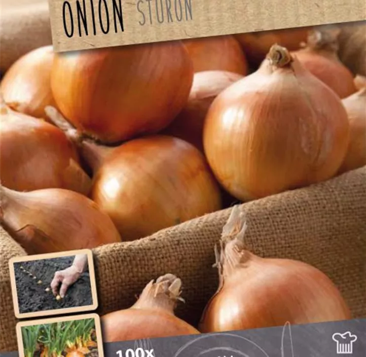 Steckzwiebel Sturon (Eat, Grow, Cook)
