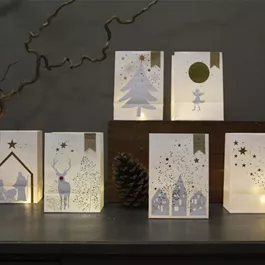 Winter Schattenlichttüte