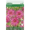 bellaflora Gartencenter GmbH