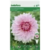bellaflora Gartencenter GmbH