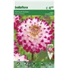 bellaflora Gartencenter GmbH