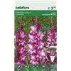 bellaflora Gartencenter GmbH