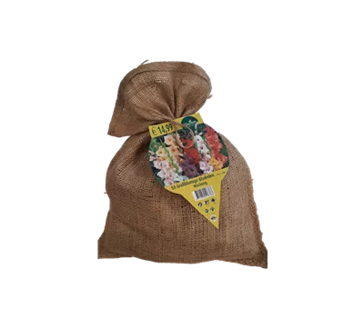 Gladiolus Mischung Jute