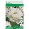 bellaflora Gartencenter GmbH