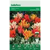 bellaflora Gartencenter GmbH