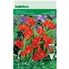 bellaflora Gartencenter GmbH