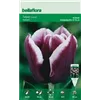 bellaflora Gartencenter GmbH
