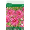 bellaflora Gartencenter GmbH