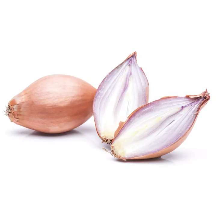 Zwiebel