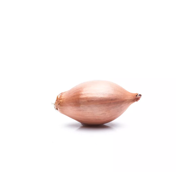 Zwiebel