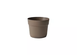 V001175052-31527019-BLOOM-406 SAND.jpg
